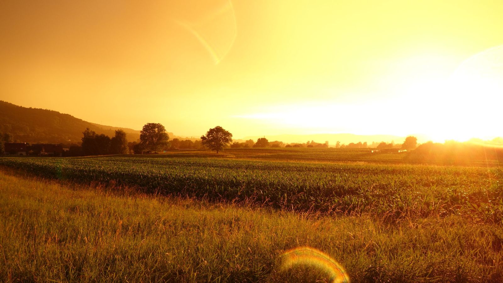 A wide open farm field under a warm sunrise